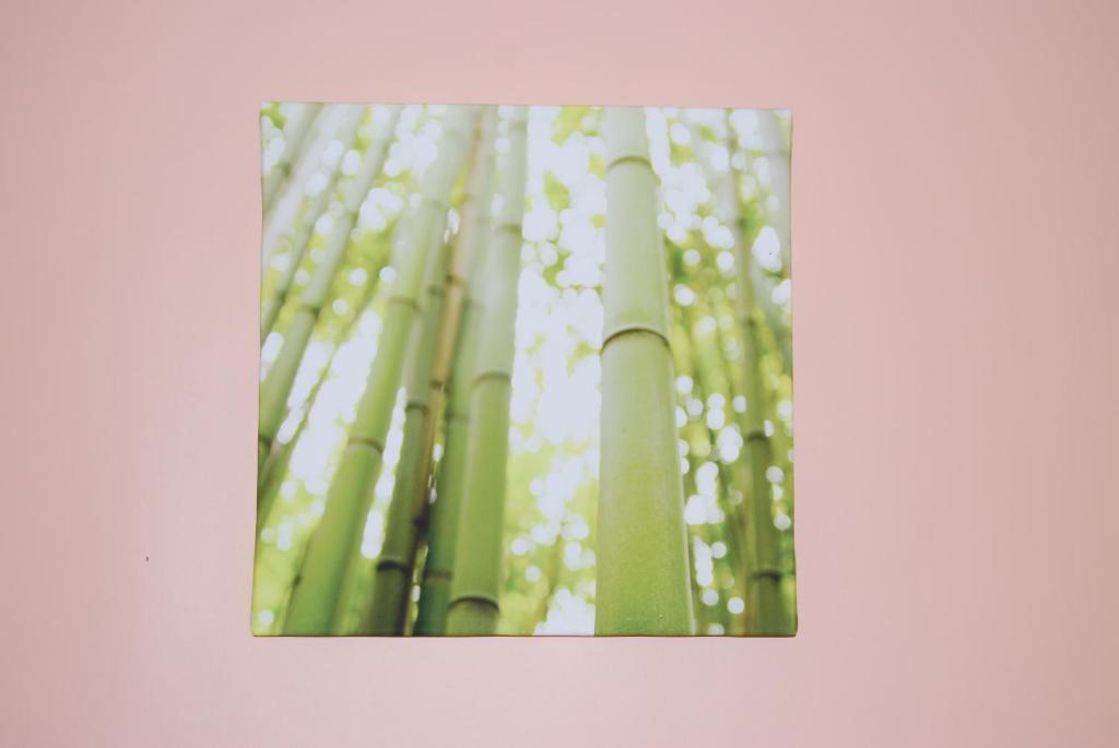 Pensao Flor Da Baixa Hotel ลิสบอน ห้อง รูปภาพ